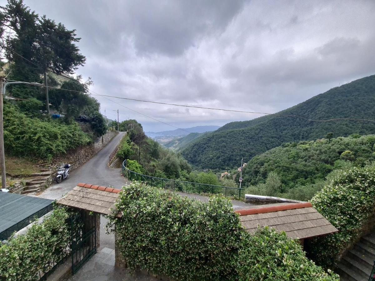 Dolce Casa Da Roby E Andrea By Portofinovacanze San Maurizio di Monte Exteriör bild